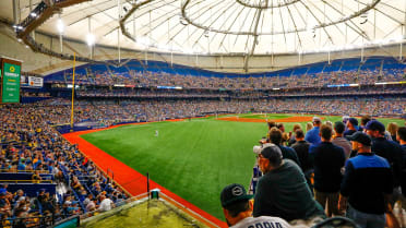 A view of the rays touch tank at Tropicana Field before the game